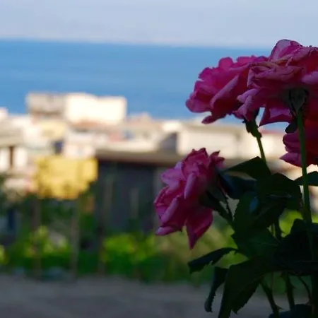 Brezza Marina *